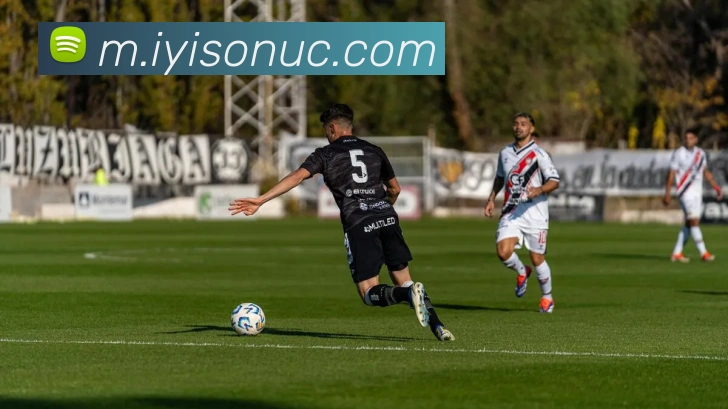 AI Risk Control